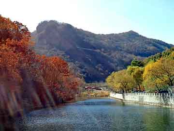 管家婆黑白马报图库，景东彝族自治seo服务